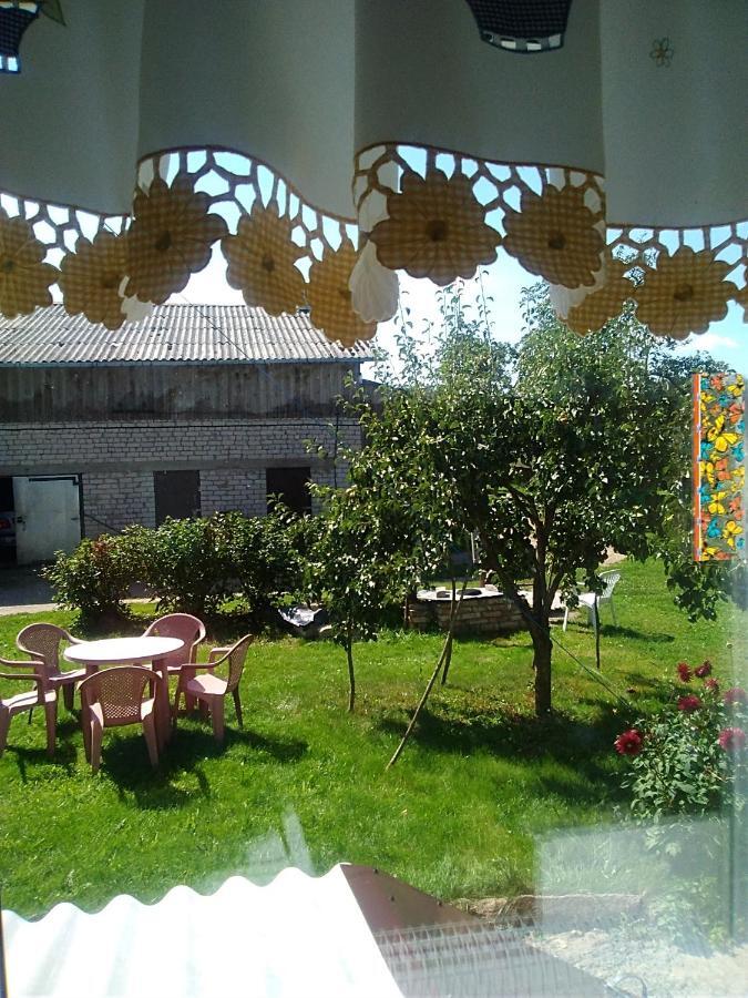 Ceslovos Sodyba Zarasai Εξωτερικό φωτογραφία